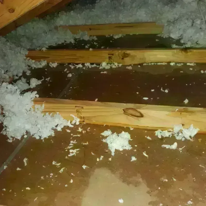 Attic Water Damage in Trenton, ME